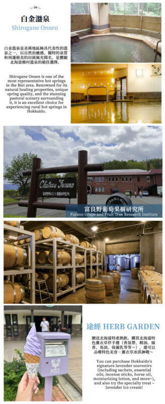 Hokkaido Day Trip: Asahiyama Zoo (Including Admission) + Shikisai-no-oka + Biei Instagram-Famous Trees/Blue Pond & Shirahige Falls (Other Seasons) + Furano Ningle Terrace | Departure from Sapporo - Complimentary Hot/Cold Drink - What the guide adds, and what not to assume
