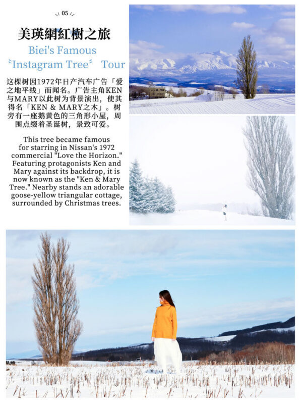 Hokkaido Day Trip: Asahiyama Zoo (Including Admission) + Shikisai-no-oka + Biei Instagram-Famous Trees/Blue Pond & Shirahige Falls (Other Seasons) + Furano Ningle Terrace | Departure from Sapporo - Complimentary Hot/Cold Drink - Food, timing and practical details