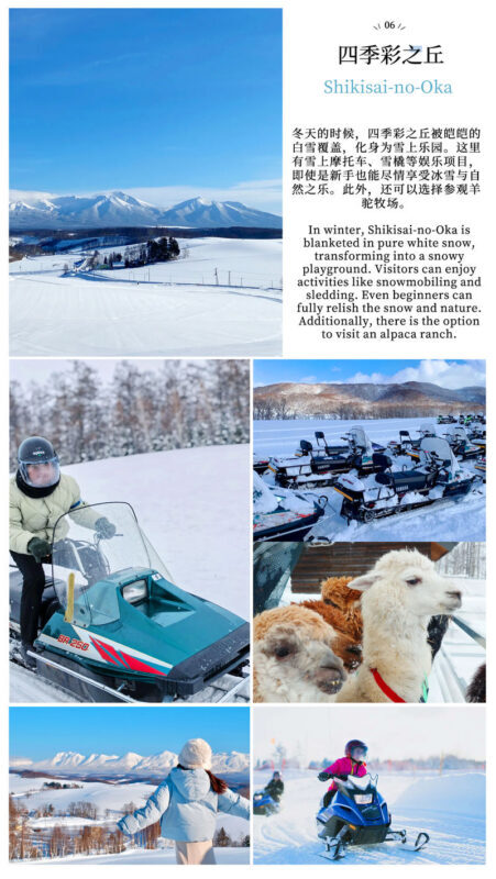 Hokkaido Day Trip: Asahiyama Zoo (Including Admission) + Shikisai-no-oka + Biei Instagram-Famous Trees/Blue Pond & Shirahige Falls (Other Seasons) + Furano Ningle Terrace | Departure from Sapporo - Complimentary Hot/Cold Drink - Who should book this Sapporo day trip?