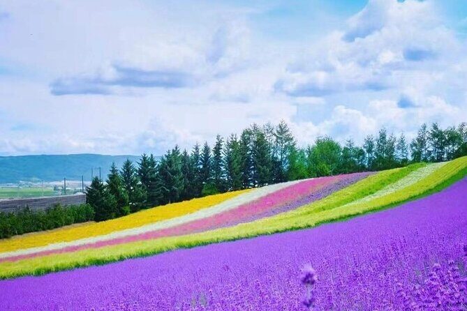 Hokkaido Farm Tomita Shikisai Hill Waterfall& Blue Pond Day Tour - Summary and Who Should Consider This Tour