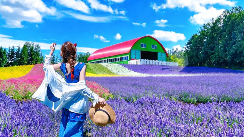 Hokkaido Flower Sea Double Route Day Tour: Biei Blue Pond x Furano x Shikisai no Oka (Free Ticket) | Patchwork Road Scenic View | Depart from Sapporo - Choose your route before choosing your seat
