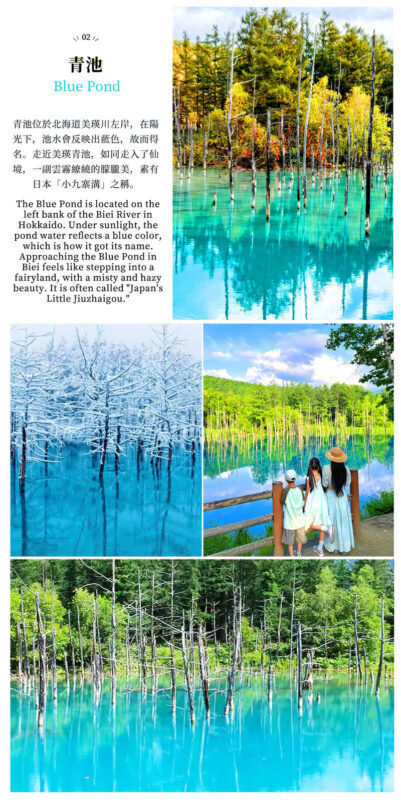 Hokkaido Flower Sea Double Route Day Tour: Biei Blue Pond x Furano x Shikisai no Oka (Free Ticket) | Patchwork Road Scenic View | Depart from Sapporo - Shikisai-no-Oka: the main flower-field stop