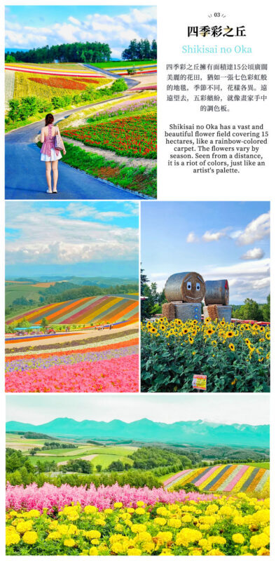 Hokkaido Flower Sea Double Route Day Tour: Biei Blue Pond x Furano x Shikisai no Oka (Free Ticket) | Patchwork Road Scenic View | Depart from Sapporo - Blue Pond and Shirogane Falls: color with a catch