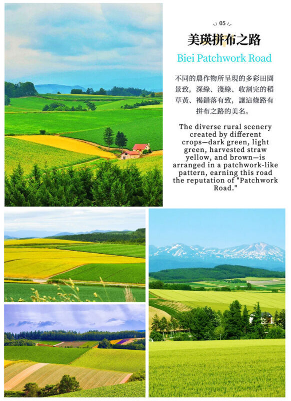 Hokkaido Flower Sea Double Route Day Tour: Biei Blue Pond x Furano x Shikisai no Oka (Free Ticket) | Patchwork Road Scenic View | Depart from Sapporo - Farm Tomita: a famous name, a short visit
