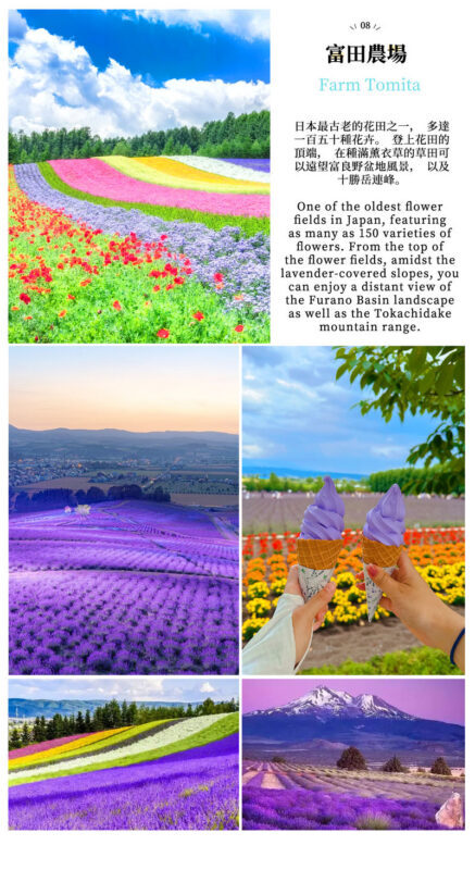 Hokkaido Flower Sea Double Route Day Tour: Biei Blue Pond x Furano x Shikisai no Oka (Free Ticket) | Patchwork Road Scenic View | Depart from Sapporo - Timing, weather, and other practical points