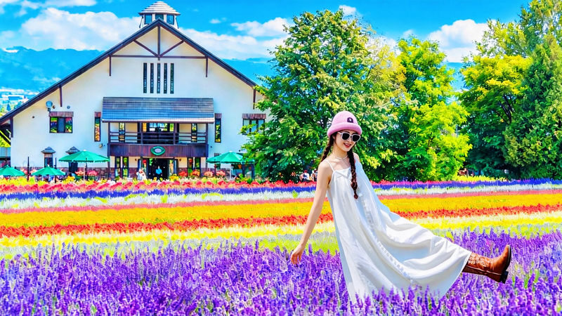 Hokkaido Flower Sea Pilgrimage | Patchwork Road, Shikisai-no-Oka, Blue Pond, Shirahige Waterfall, Farm Tomita Day Tour | Departing from Sapporo - A full day from Sapporo to Biei and Furano