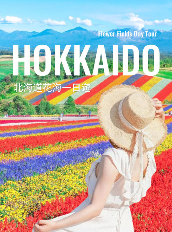 Hokkaido Flower Sea Tour: Blue Pond & Farm Tomita & Shikisai no Oka & Ningle Terrace One-Day Tour (Optional Buffet Lunch/All-you-can-eat Melon) - One day, many sides of central Hokkaido