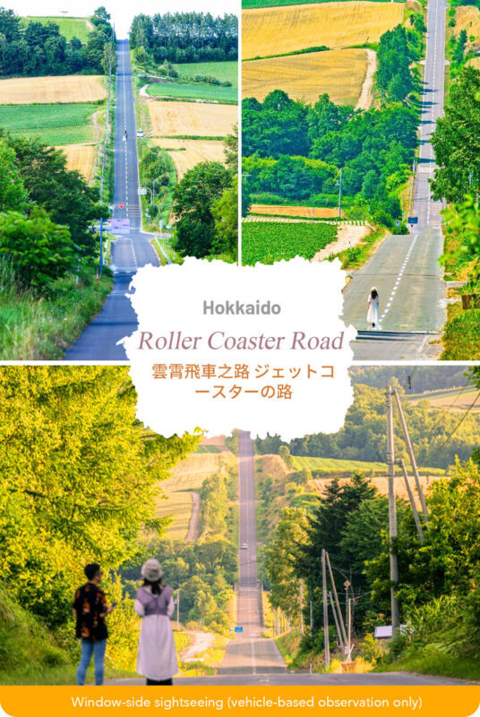 Hokkaido Flower Sea Tour: Blue Pond & Farm Tomita & Shikisai no Oka & Ningle Terrace One-Day Tour (Optional Buffet Lunch/All-you-can-eat Melon) - Blue Pond: a short walk for an unusual color