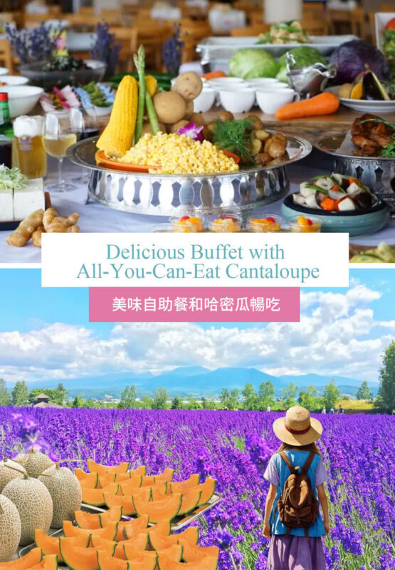 Hokkaido Flower Sea Tour: Blue Pond & Farm Tomita & Shikisai no Oka & Ningle Terrace One-Day Tour (Optional Buffet Lunch/All-you-can-eat Melon) - Shikisai no Oka: the main flower-field stop