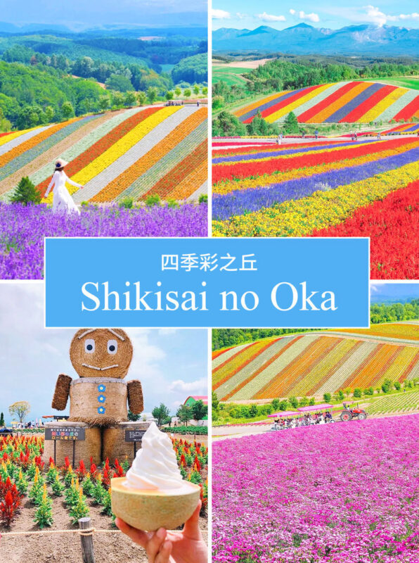 Hokkaido Flower Sea Tour: Blue Pond & Farm Tomita & Shikisai no Oka & Ningle Terrace One-Day Tour (Optional Buffet Lunch/All-you-can-eat Melon) - Farm Tomita: lavender, shops, and a quick taste