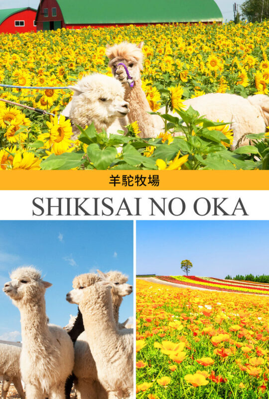 Hokkaido Flower Sea Tour: Blue Pond & Farm Tomita & Shikisai no Oka & Ningle Terrace One-Day Tour (Optional Buffet Lunch/All-you-can-eat Melon) - Ningle Terrace: small cabins in the woods
