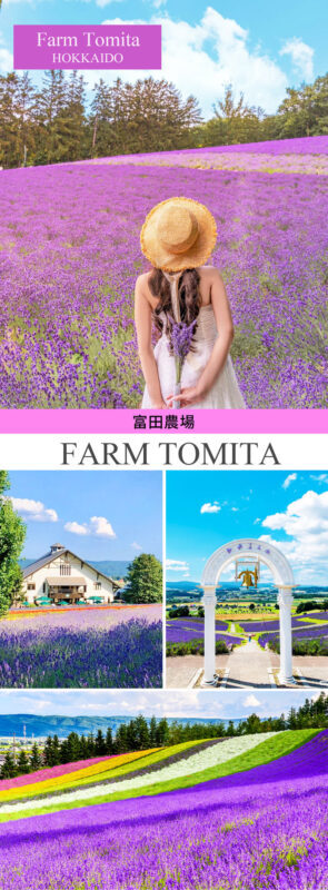 Hokkaido Flower Sea Tour: Blue Pond & Farm Tomita & Shikisai no Oka & Ningle Terrace One-Day Tour (Optional Buffet Lunch/All-you-can-eat Melon) - Guides, group size, and the ride back