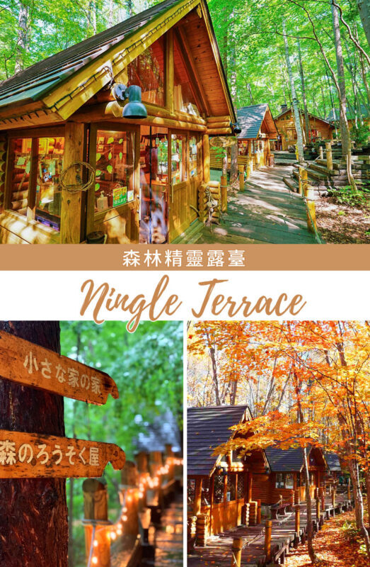 Hokkaido Flower Sea Tour: Blue Pond & Farm Tomita & Shikisai no Oka & Ningle Terrace One-Day Tour (Optional Buffet Lunch/All-you-can-eat Melon) - Is the $63.19 starting fare good value?