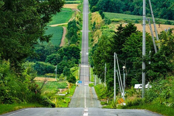 Hokkaido Flowers and Blue Pond Tour - Hokkaido Flowers and Blue Pond Tour: A Natural Feast for Your Senses