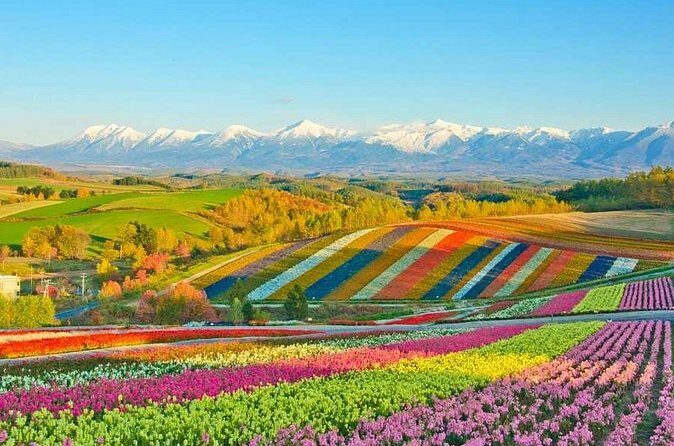 Hokkaido Flowers and Blue Pond Tour - FAQ