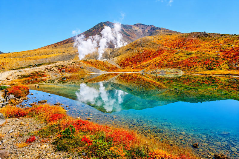 Hokkaido Four Seasons One-Day Tour: Summer Hokuryu-cho Sunflowers, Autumn Asahidake Autumn Leaves, Winter Biei Furano Illumination - The key things to know before you go
