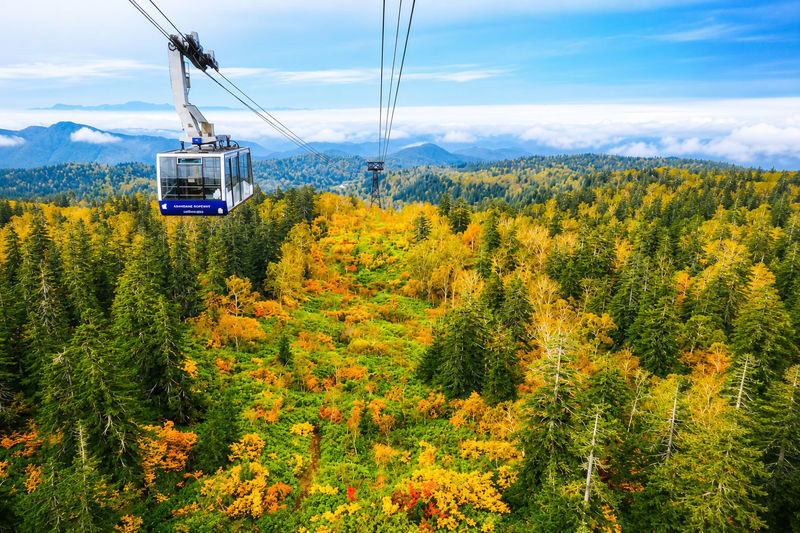 Hokkaido Four Seasons One-Day Tour: Summer Hokuryu-cho Sunflowers, Autumn Asahidake Autumn Leaves, Winter Biei Furano Illumination - Choose a season, not a greatest-hits tour