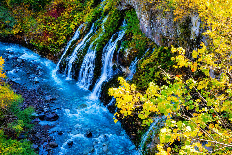 Hokkaido Four Seasons One-Day Tour: Summer Hokuryu-cho Sunflowers, Autumn Asahidake Autumn Leaves, Winter Biei Furano Illumination - Autumn at Asahidake: early color, with a cable-car caveat