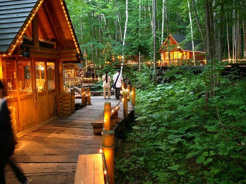 Hokkaido Four Seasons One-Day Tour: Summer Hokuryu-cho Sunflowers, Autumn Asahidake Autumn Leaves, Winter Biei Furano Illumination - Asahiyama Zoo: two hours among northern animals