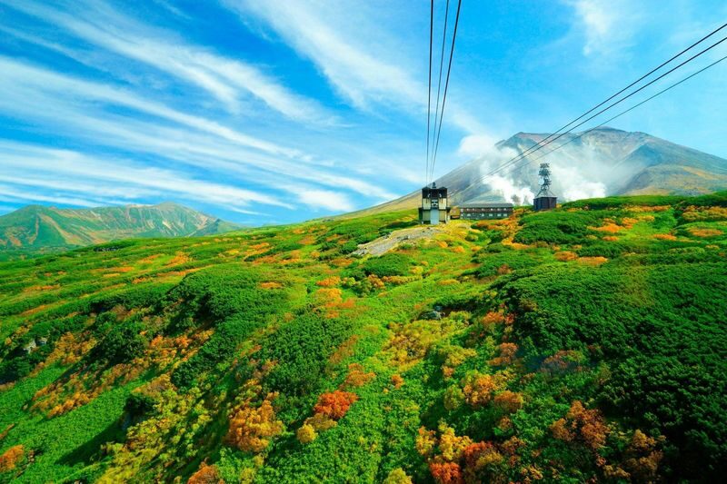 Hokkaido Four Seasons One-Day Tour: Summer Hokuryu-cho Sunflowers, Autumn Asahidake Autumn Leaves, Winter Biei Furano Illumination - Otokoyama: a short sake stop with family touches