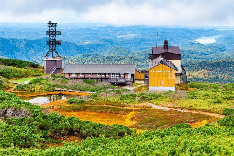 Hokkaido Four Seasons One-Day Tour: Summer Hokuryu-cho Sunflowers, Autumn Asahidake Autumn Leaves, Winter Biei Furano Illumination - Biei’s blue water and Furano’s small cabins