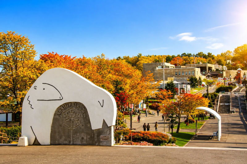 Hokkaido Four Seasons One-Day Tour: Summer Hokuryu-cho Sunflowers, Autumn Asahidake Autumn Leaves, Winter Biei Furano Illumination - What the price buys, and what it doesn’t