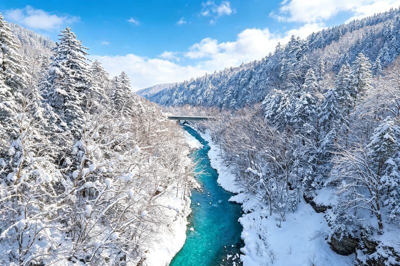 Hokkaido Fun Check-in & Furano Flower Fields Dual Route Options | Optional Snowmobile Experience | Departs from Sapporo (Mandarin and English Service) - Bus time, group size, and the pace of the day
