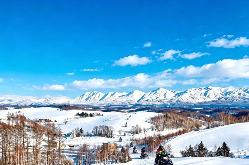 Hokkaido Fun Check-in & Furano Flower Fields Dual Route Options | Optional Snowmobile Experience | Departs from Sapporo (Mandarin and English Service) - Who should book this Hokkaido day trip?