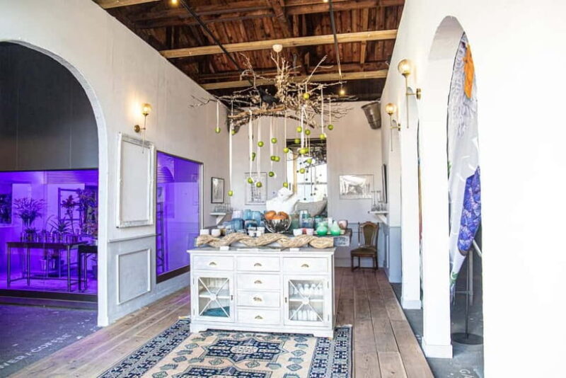 Hokkaido: Hananingen Sprouting Experience Photography Plan - A Closer Look at the Hananingen Sprouting Experience