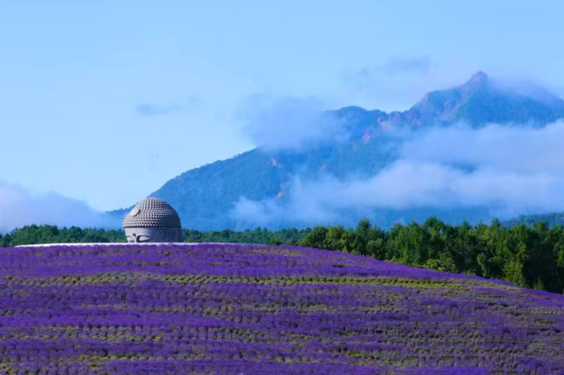 Hokkaido Hill Buddha, Noboribetsu Jigokudani, and Lake Toya Small Group Tour | Departing from Sapporo | Driver-Guide Service with Optional Hotel Pickup and Drop-off - The Hill of the Buddha sets a different tone