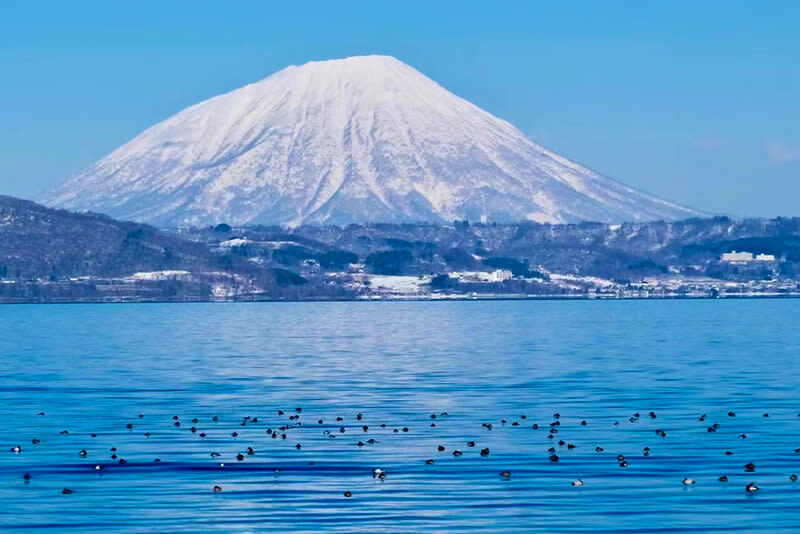 Hokkaido Hill Buddha, Noboribetsu Jigokudani, and Lake Toya Small Group Tour | Departing from Sapporo | Driver-Guide Service with Optional Hotel Pickup and Drop-off - Practical details before you book