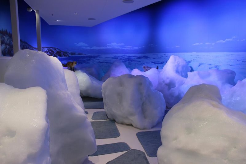 Hokkaido, Japan | Eastern Hokkaido Private Car Tour: Lake Akan - Abashiri  Shiretoko Utoro Customized 57-Hour Private Car Charter | Flexible Itinerary - The price buys control over a difficult day