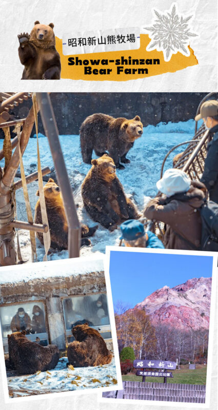 Hokkaido: Lake Hill Farm Snowmobile Experience (with free ice cream) & Noboribetsu Hell Valley & Showa-shinzan Bear Ranch Day Trip - Lake Hill Farm: one included scoop and open views