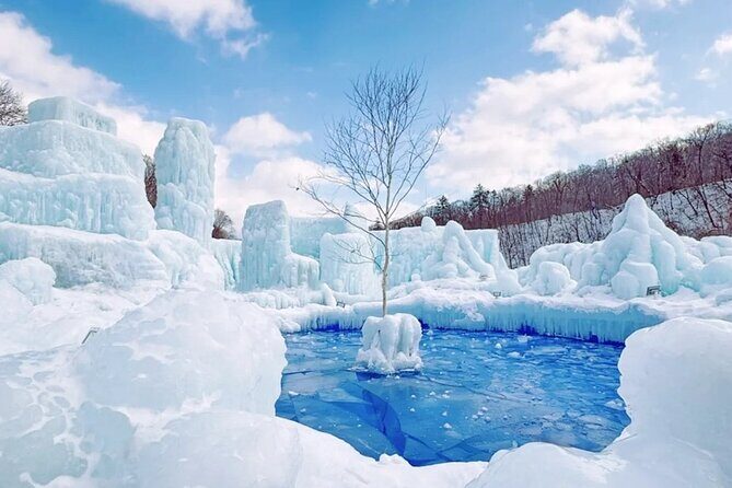 Hokkaido Lake Shikotsu Ice Festival Season Limited Day Tour - Who Should Consider This Tour?