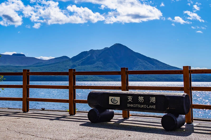 Hokkaido Lake Toya Fireworks Festival, Lake Shikotsu & Bear Ranch & Observation Deck Day Tour (boat cruise optional) - Showa Shinzan: bears, a young volcano and an extra fee