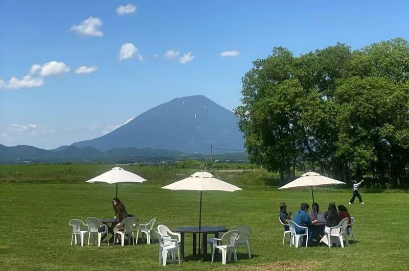Hokkaido | Lake Toya Fireworks Festival & Showa-shinzan & Lake Hill Farm Day Trip | Departing from Sapporo - Showa-shinzan and the story of a volcano