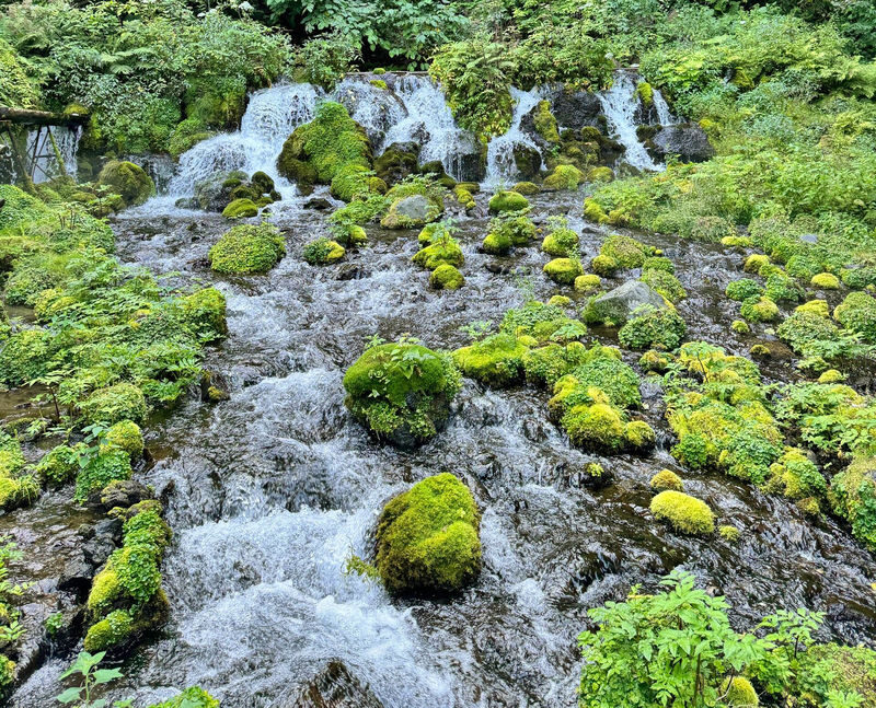 Hokkaido | Lake Toya Fireworks Festival & Showa-shinzan & Lake Hill Farm Day Trip | Departing from Sapporo - Toyako Onsen before nightfall