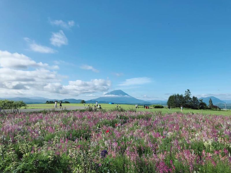 Hokkaido | Lake Toya, Noboribetsu Jigokudani (Hell Valley), Mount Usu Day Trip with Gourmet Food & Stunning Views | Depart from Sapporo - Why this day trip works from Sapporo