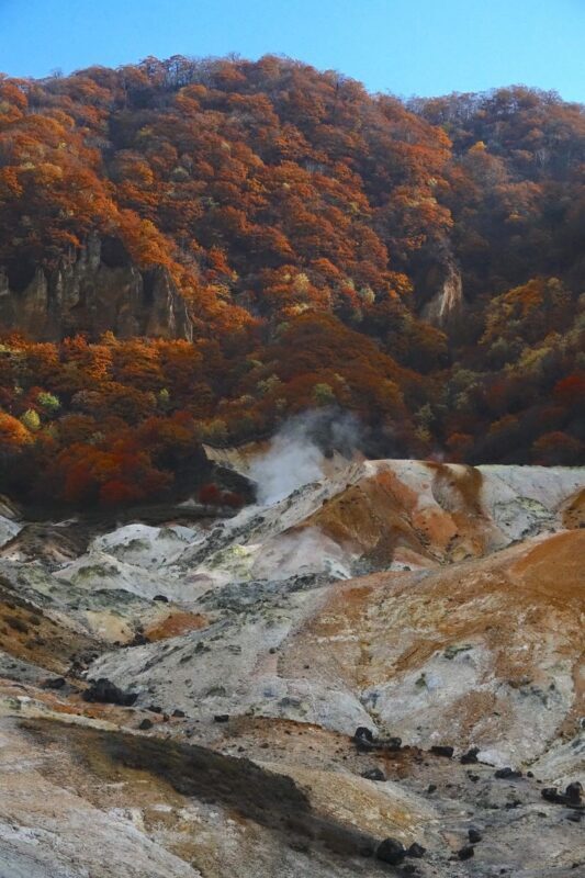 Hokkaido | Lake Toya, Noboribetsu Jigokudani (Hell Valley), Mount Usu Day Trip with Gourmet Food & Stunning Views | Depart from Sapporo - Timing, weather and meeting-point advice
