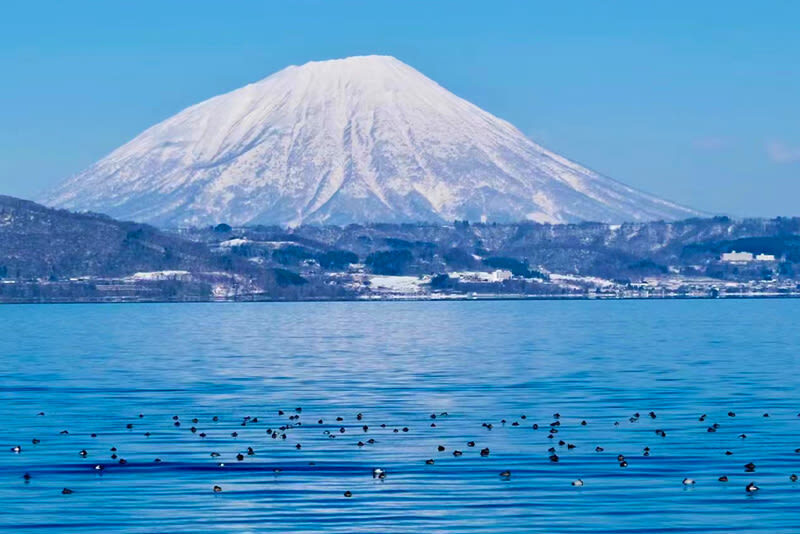 Hokkaido Lake Toya Observation Deck & Noboribetsu Hell Valley & Showa-shinzan Bear Ranch & Mount Usu & Lake Hill Farm Day Trip (Departing from Sapporo) - Jozankei: a final hot spring pause