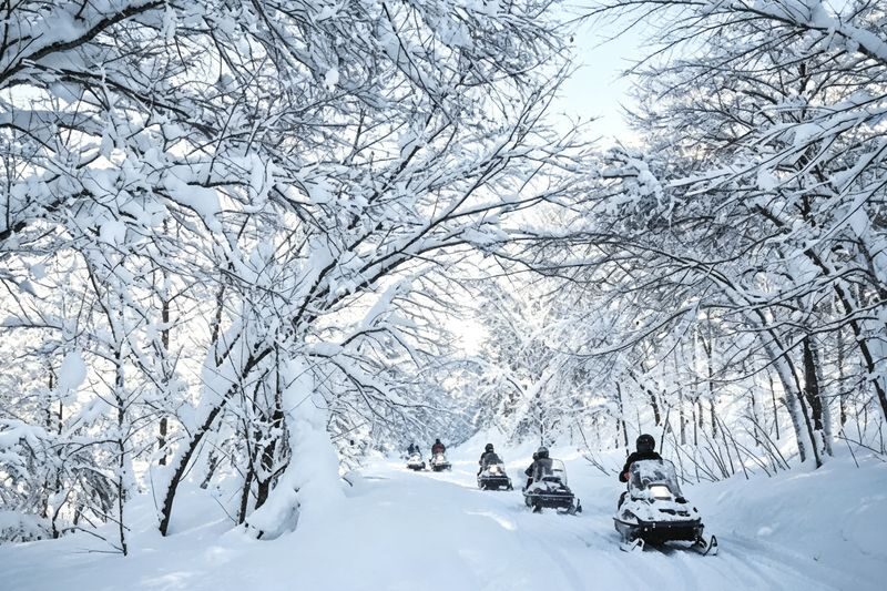 Hokkaido: Lake Toya Snowmobile & Noboribetsu Hell Valley & Bear Ranch & Lake Hill Farm Day Tour - Walking the steaming boardwalk at Hell Valley