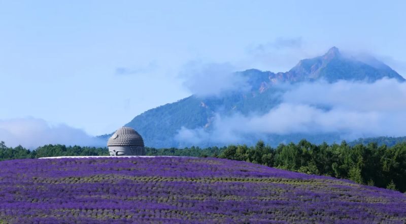 Hokkaido Mount Yotei, Lake Toya, Noboribetsu Nature Day Tour (Small Group Transfer) - A big Hokkaido day without the driving