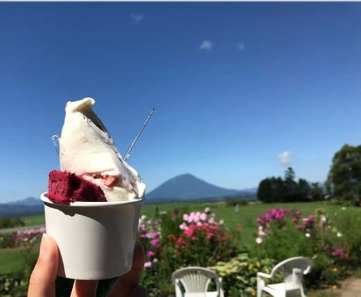 Hokkaido Mount Yotei, Lake Toya, Noboribetsu Nature Day Tour (Small Group Transfer) - What the guide does, and what they may not do