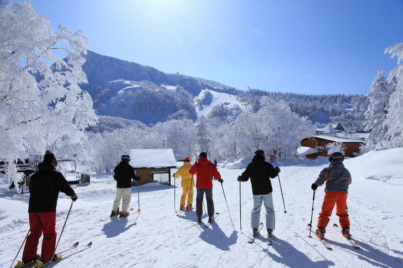 Hokkaido Niseko Chinese and English Private Snowboard/Ski Instructor and Photography Services - What the instructors do well, and where expectations matter