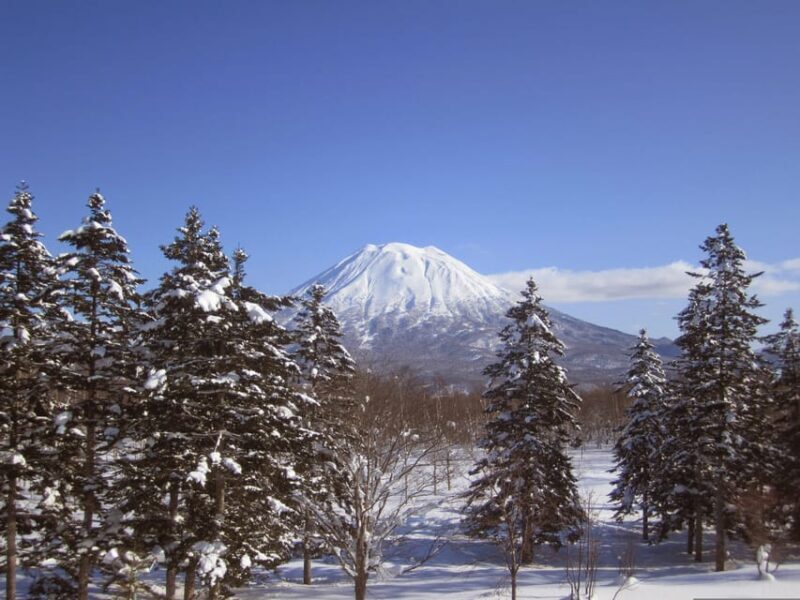 Hokkaido Niseko Ski Day Tour - Key Points