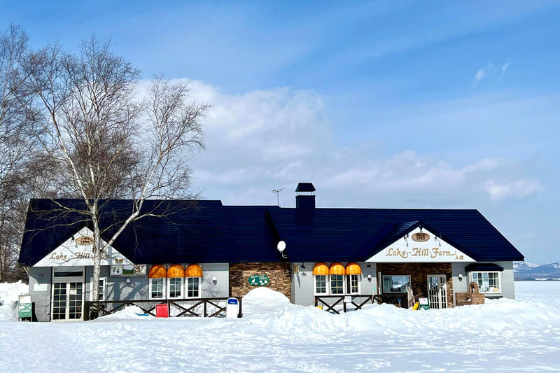 Hokkaido Noboribetsu Day Tour | Kyogoku Fuki-dashi Park, Lake Toya (Optional Snowmobile in Winter), Showa-shinzan Bear Ranch, Noboribetsu Jigokudani Day Tour | Departing from Sapporo - Is the $44.20 starting price good value?