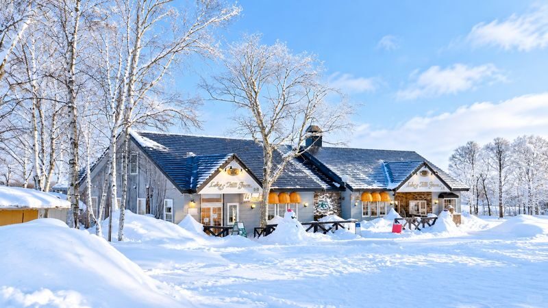 Hokkaido Noboribetsu Day Tour | Lake Toya (Optional Snowmobile in Winter) & Lake Hill Farm & Showa Shinzan & Jigokudani (Hell Valley) & Fukiidashi Park (Matsusui Park) | Multiple Itineraries Available - Lake Hill Farm: dairy treats and a breather
