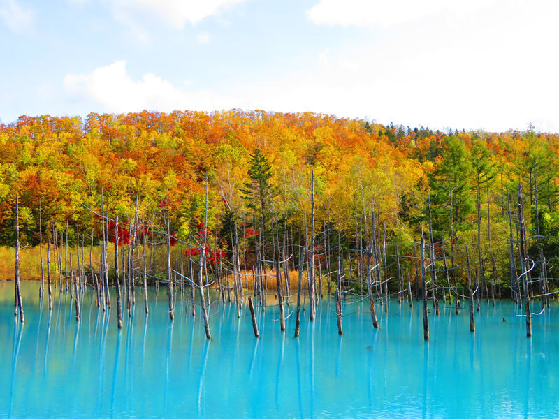 Hokkaido | Noboribetsu, Lake Toya, Asahikawa Private Chartered Day Tour | Customizable Itinerary - How to make a nine-hour day work