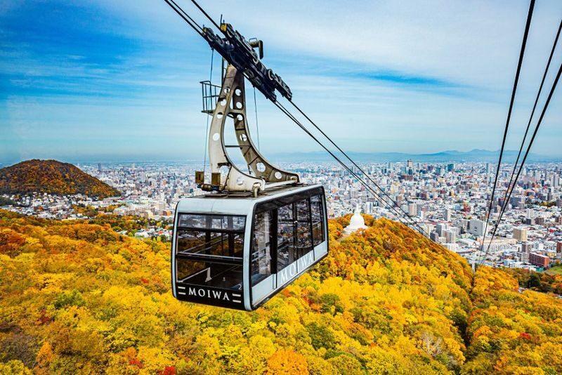 Hokkaido | Noboribetsu, Lake Toya, Asahikawa Private Chartered Day Tour | Customizable Itinerary - The driver and language question