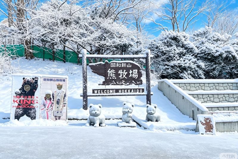 Hokkaido Noboribetsu Selected Day Tour: Lake Toya, Jigokudani, Showa-shinzan, Lake Shikotsu Illumination (Optional Snowmobile Experience, Multiple Routes Available) - The morning route: spring water or snowmobiling